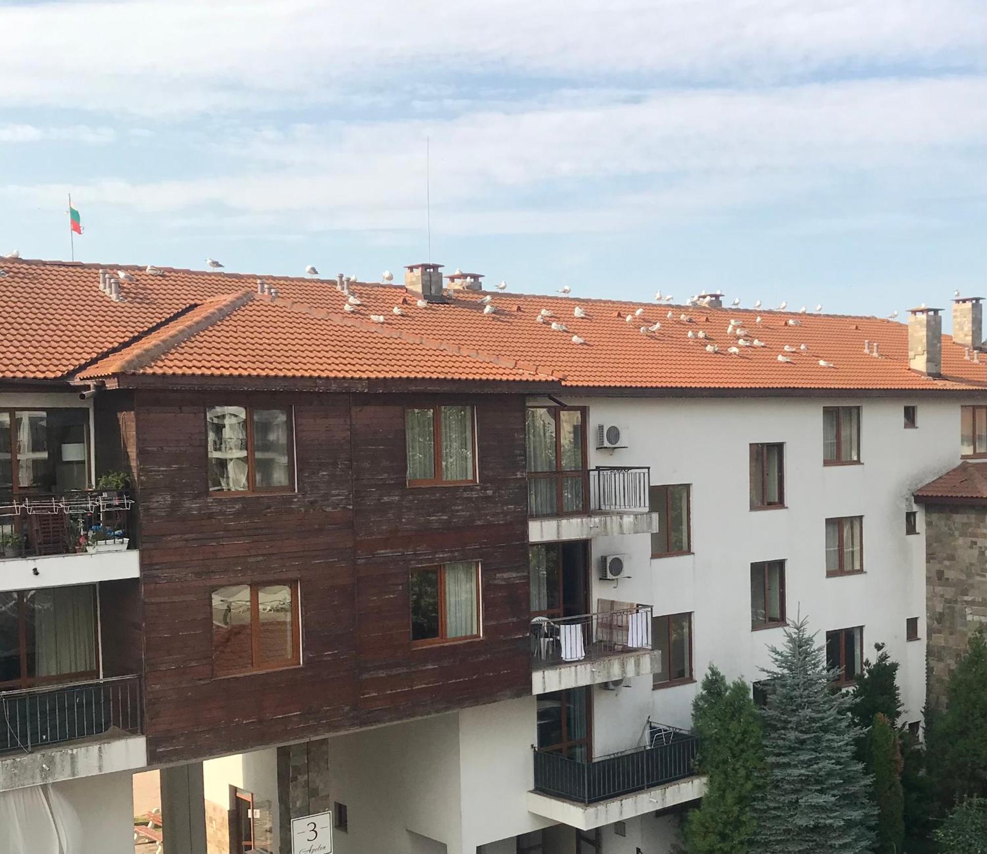 Apartment Apolon 8 Ravda Nessebar
